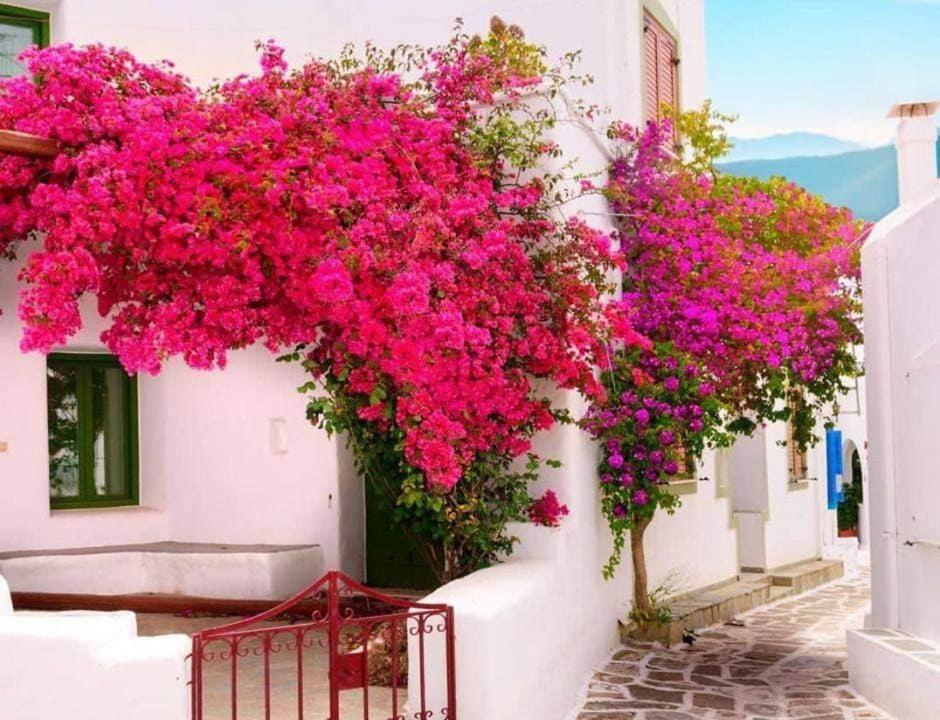 Nafpaktos Apartment And Studios In Port Экстерьер фото